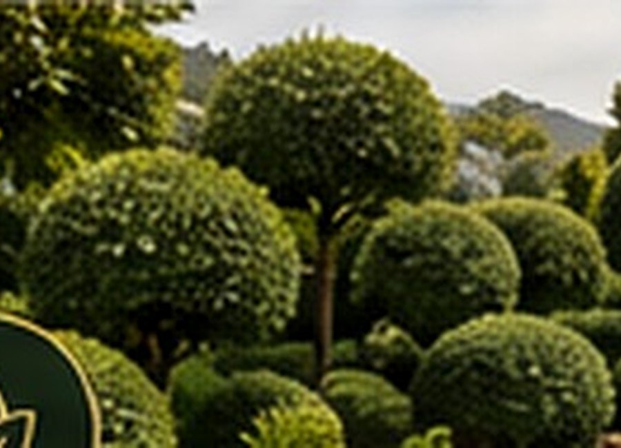 Mantenimiento de jardines