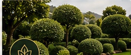 Mantenimiento de jardines